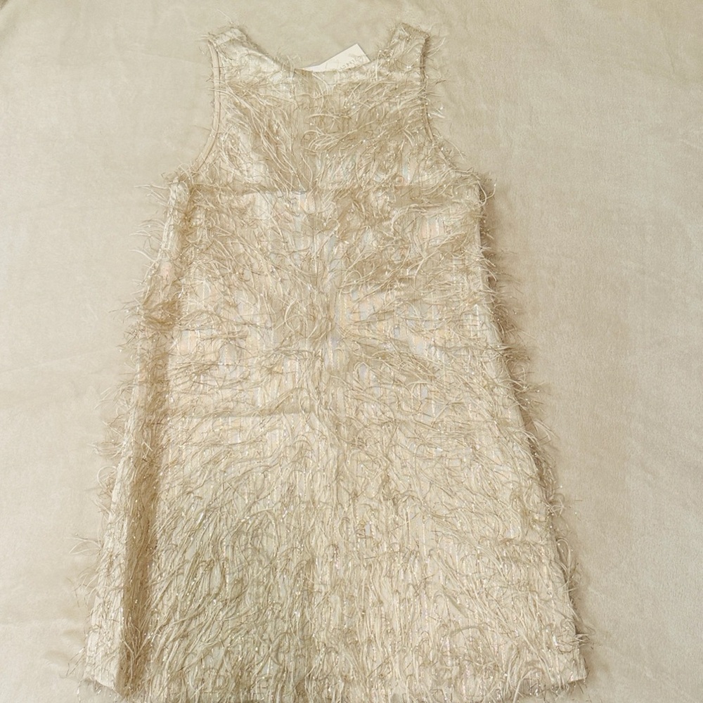 Zara Beige Feathered Dress - Beige Golden